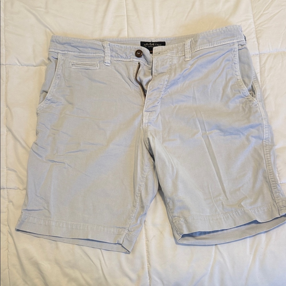 American Eagle Outfitters Light Blue Flat Front Shorts